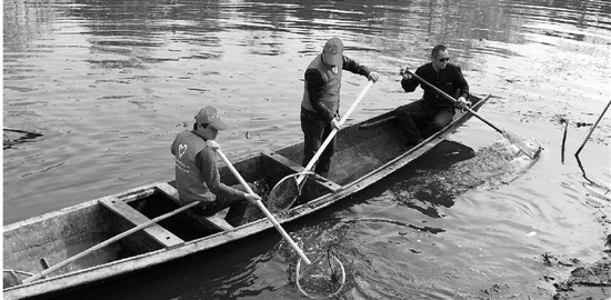 1489710907136724.jpg qjwb20170317q0007v01b010.jpg